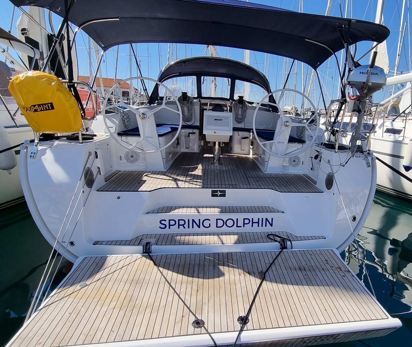 Spring Dolphin