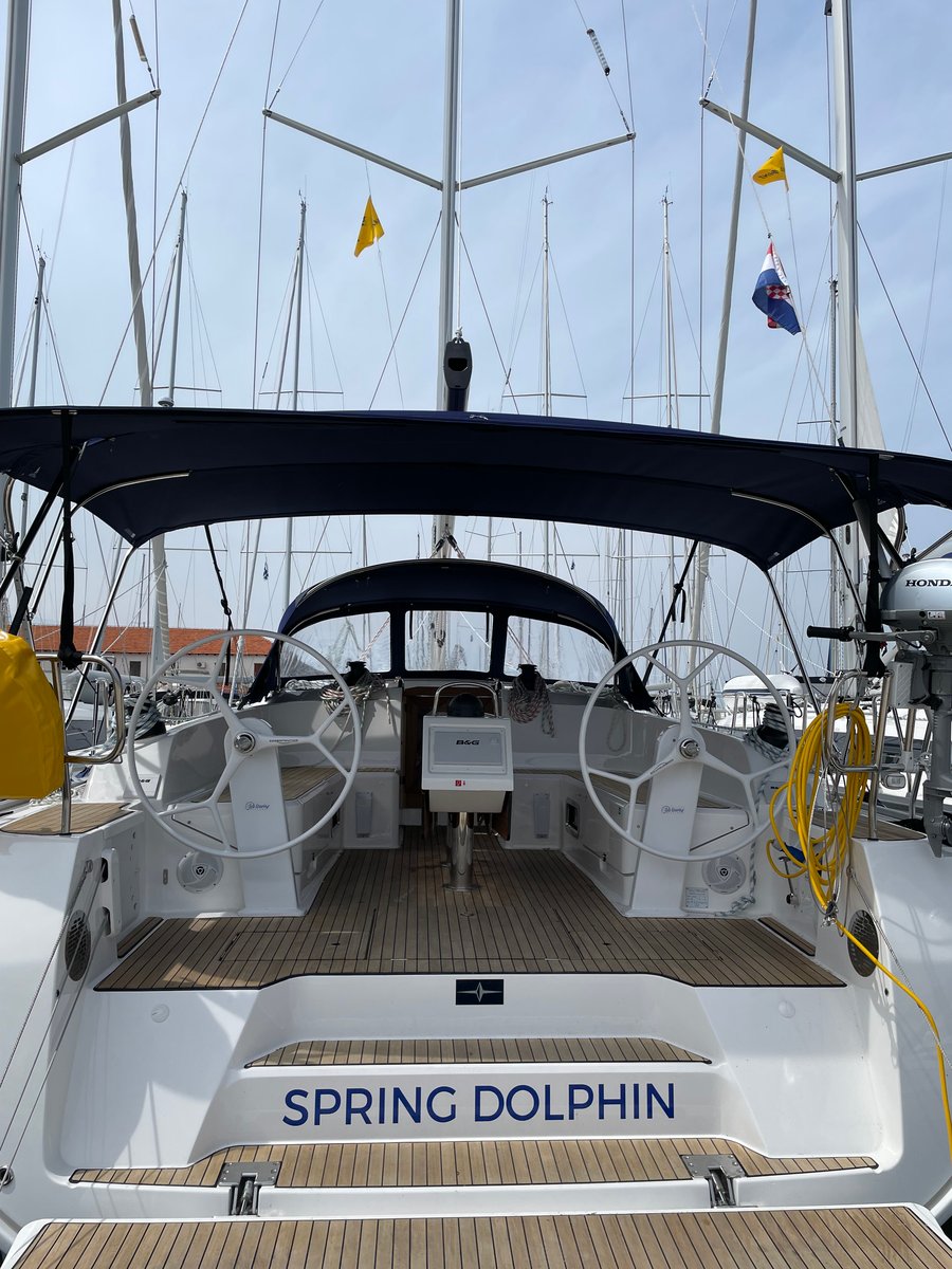 Spring Dolphin