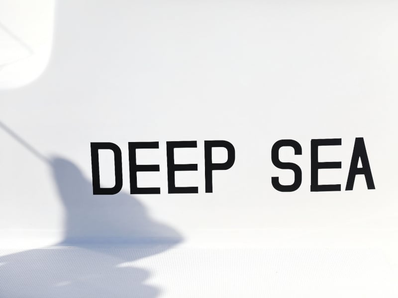DEEPSEA