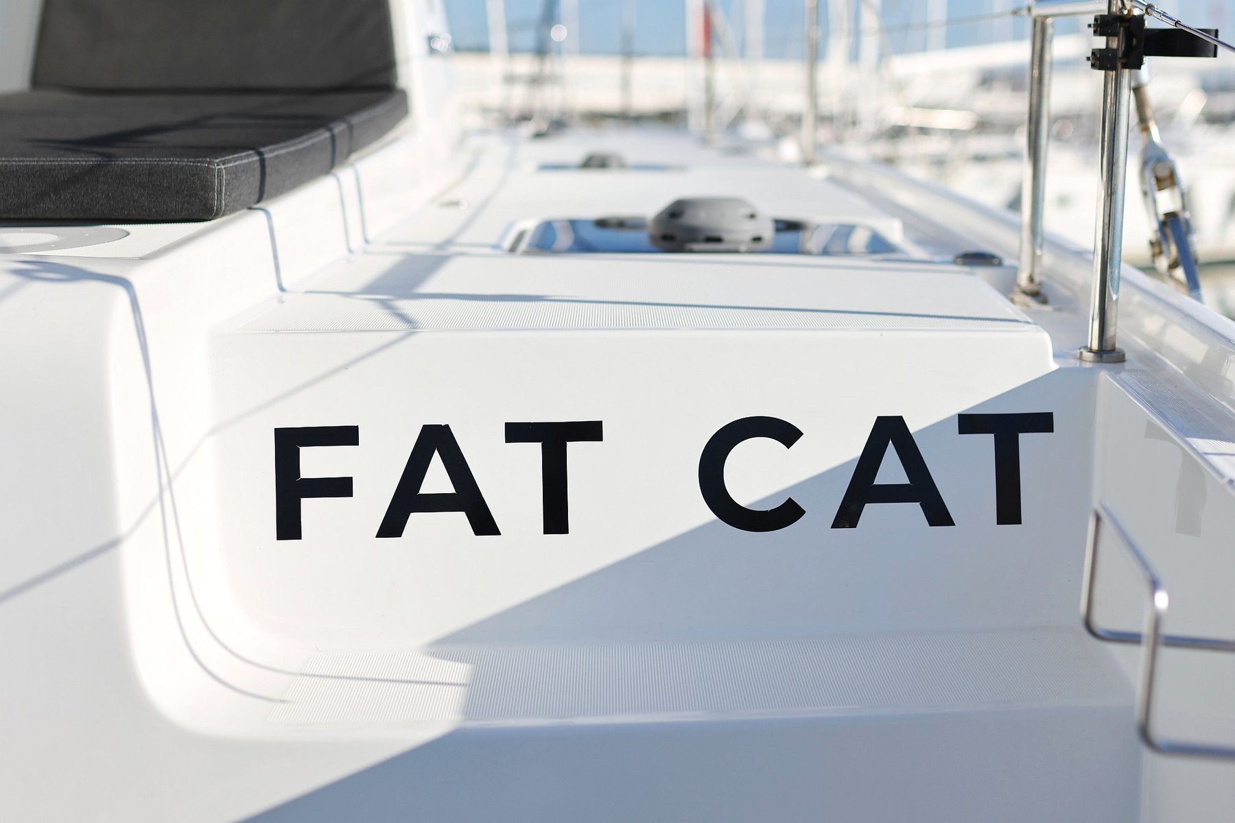 FAT CAT