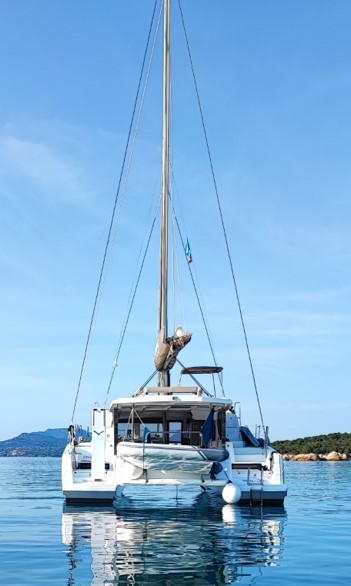 Ziphius