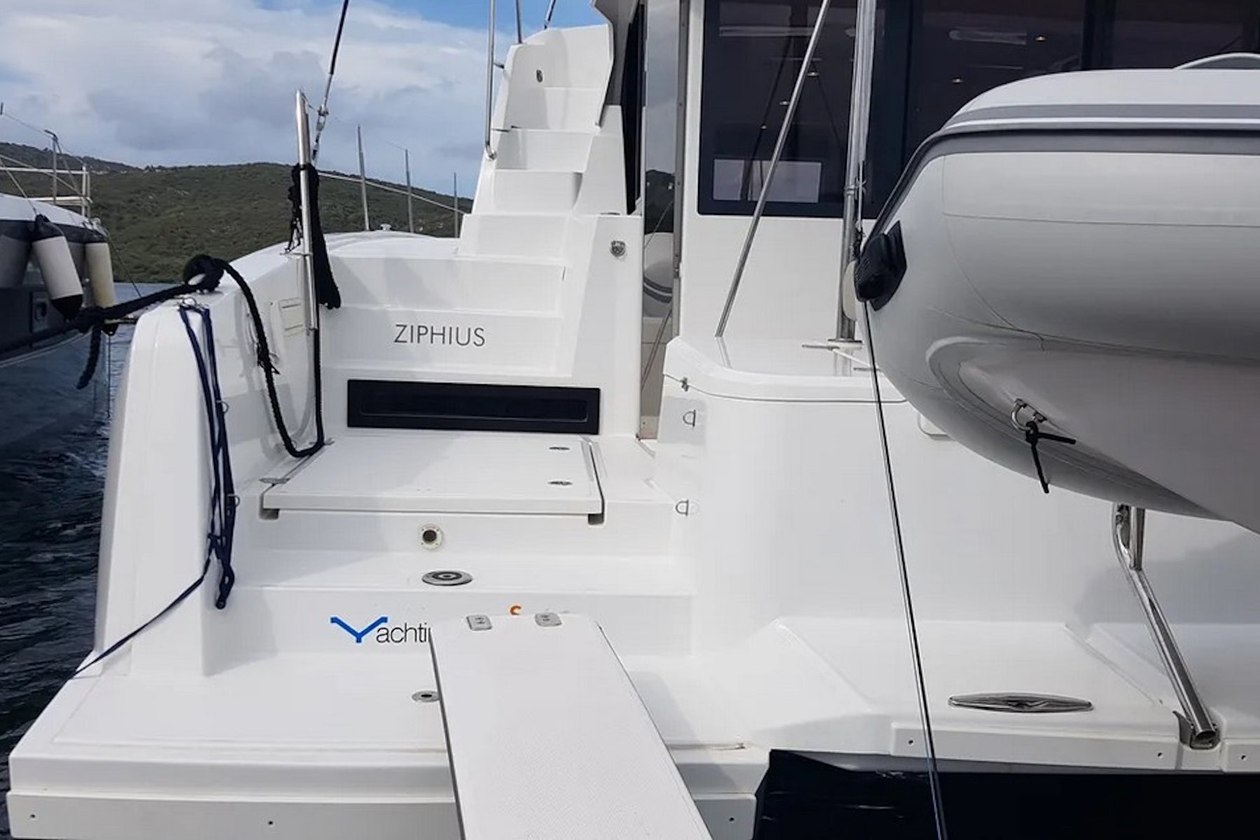 Ziphius