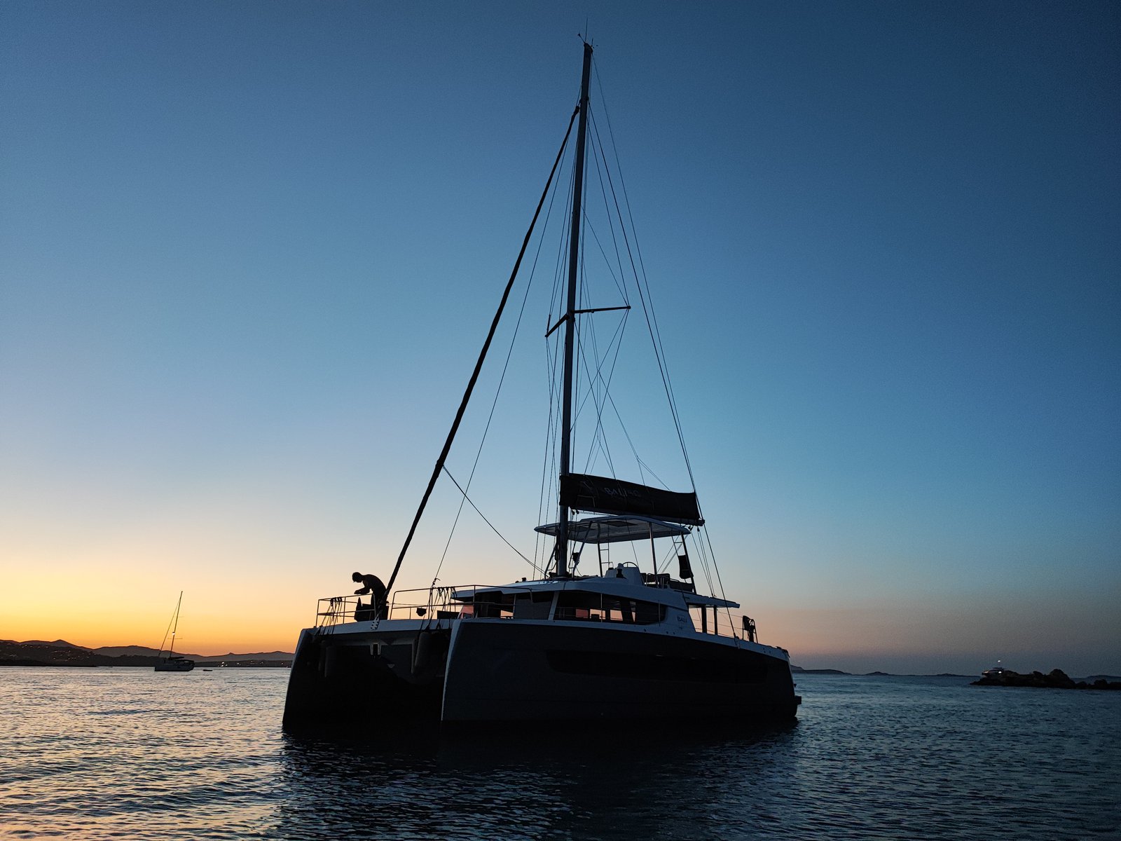 Delphinus