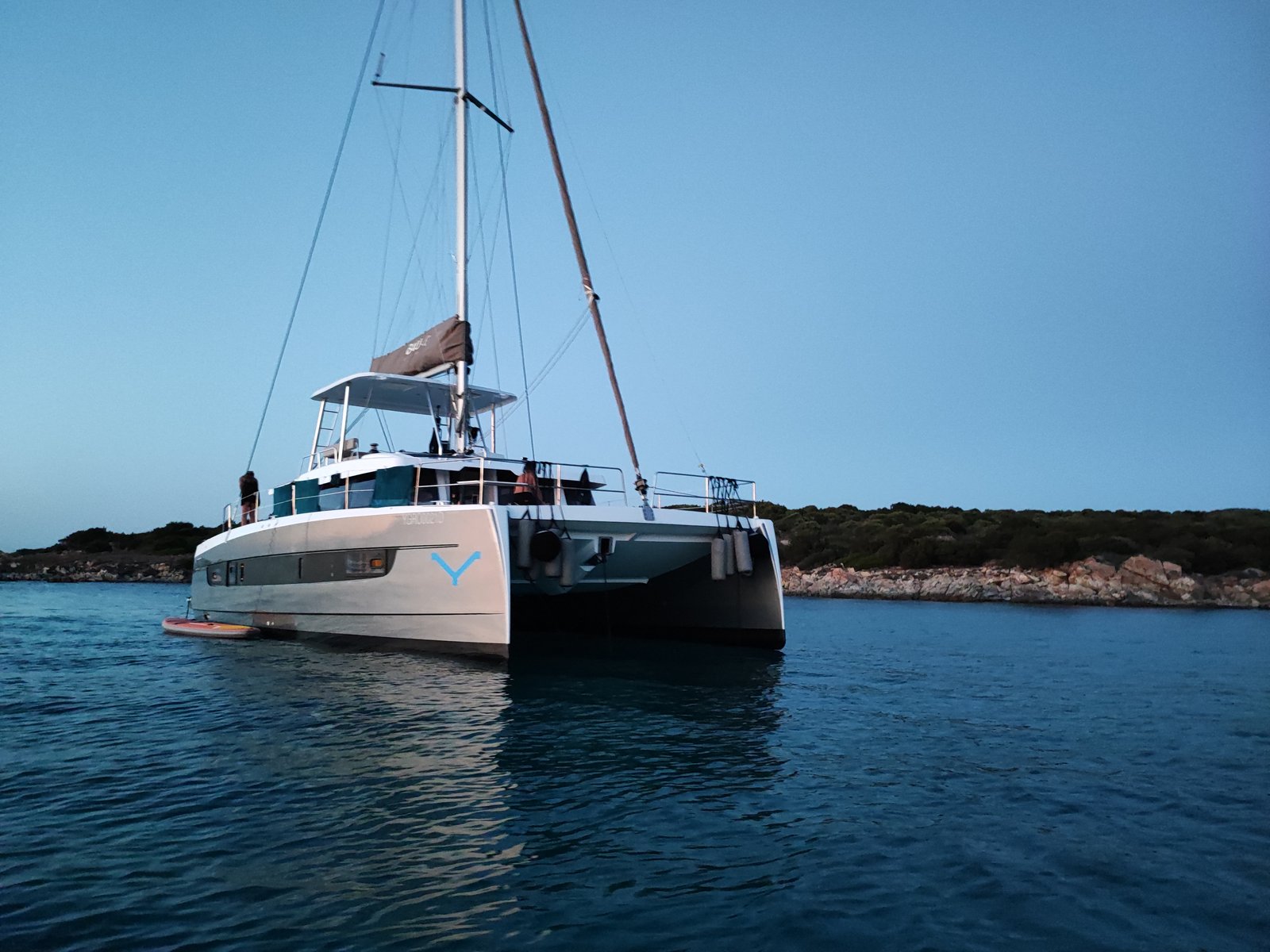 Delphinus