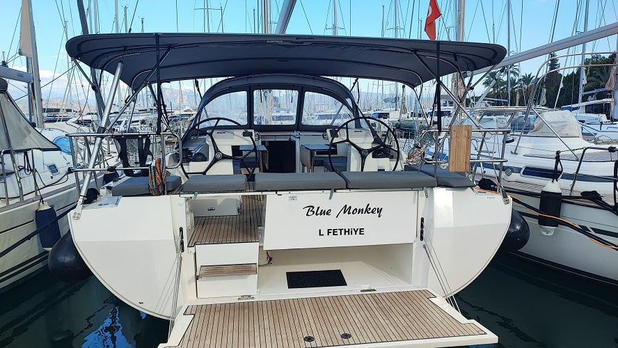 Blue Monkey