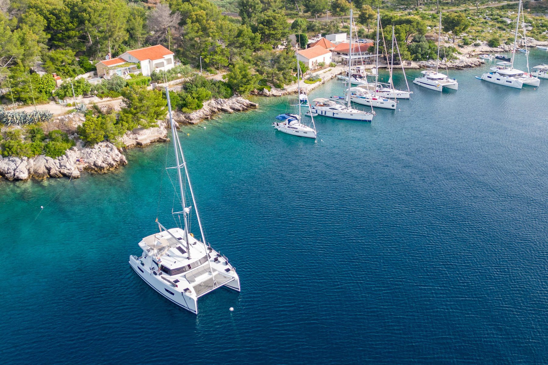 Calypso
