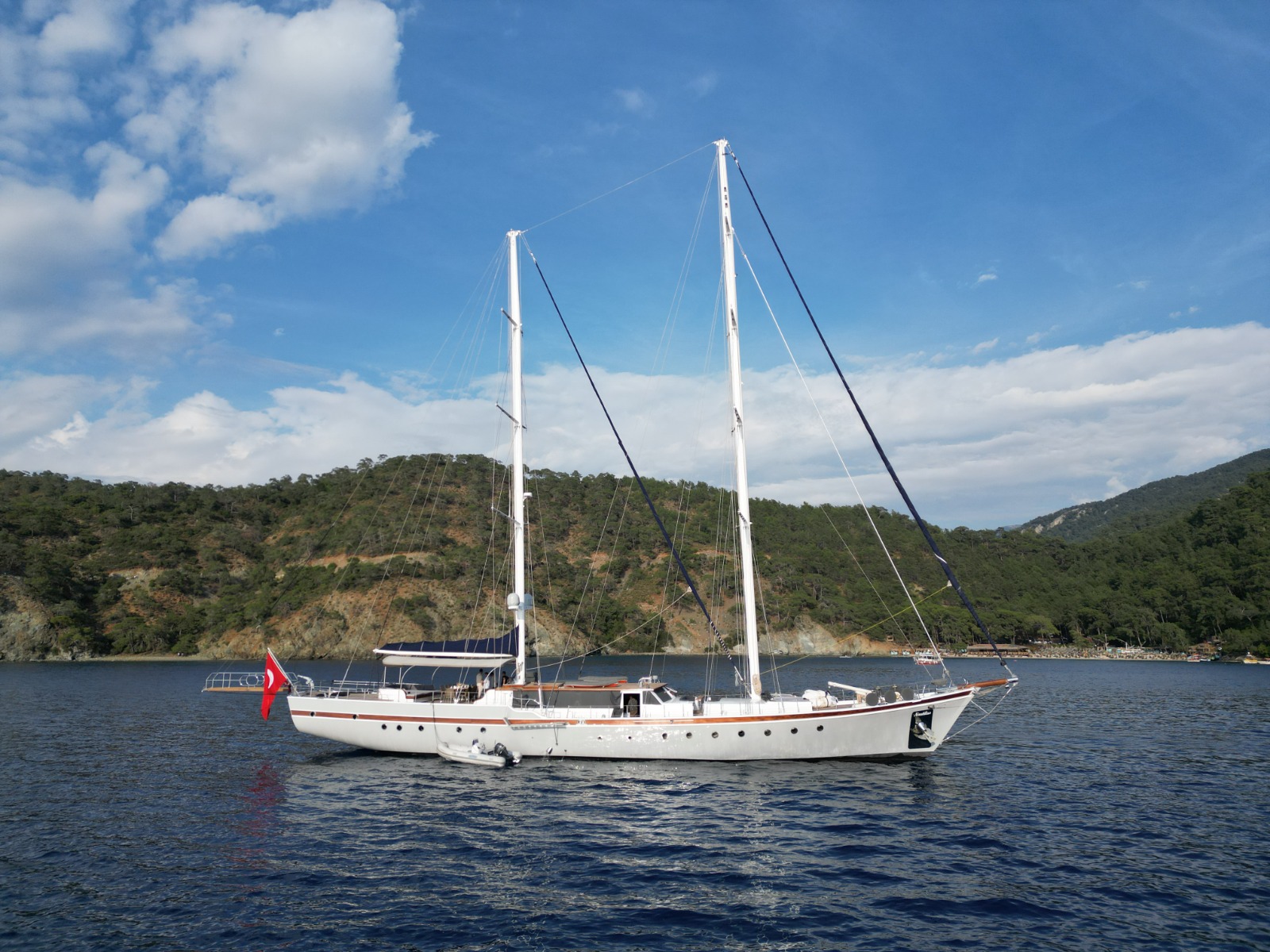 Nautilus