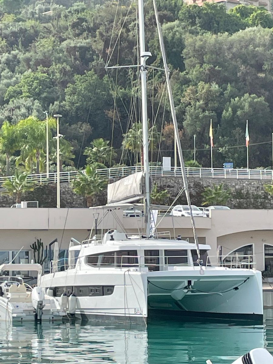 Silver Dolphin