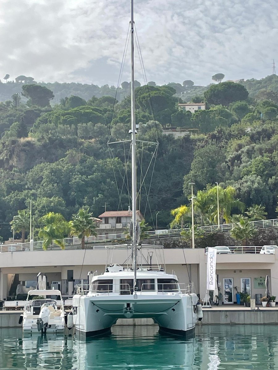 Silver Dolphin