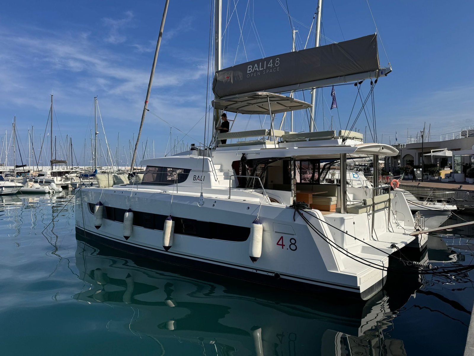 Silver Dolphin