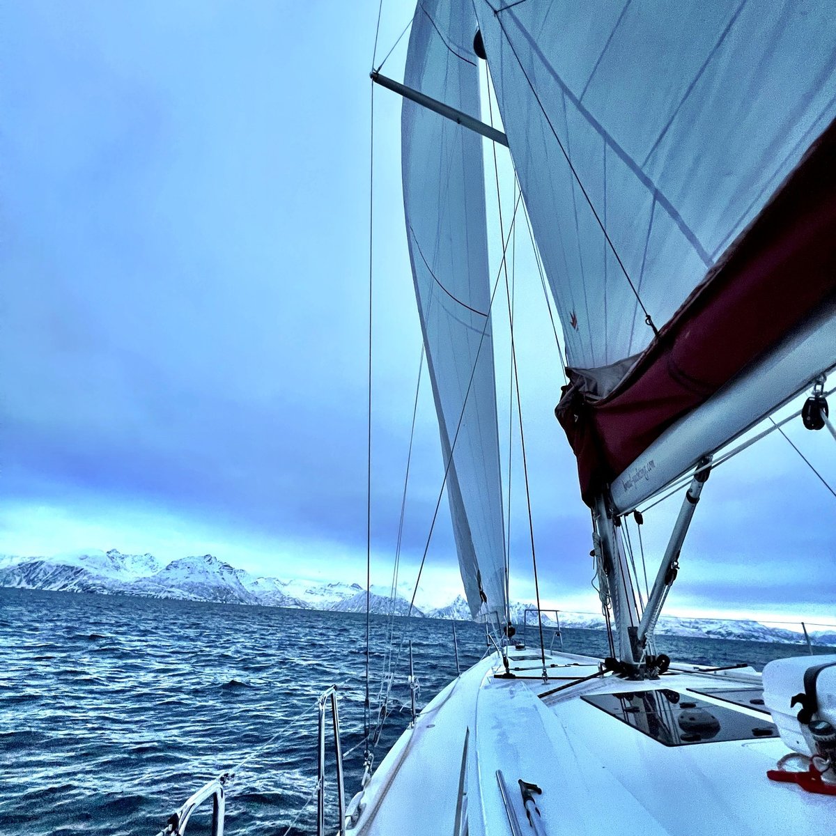 Arctic Whisper