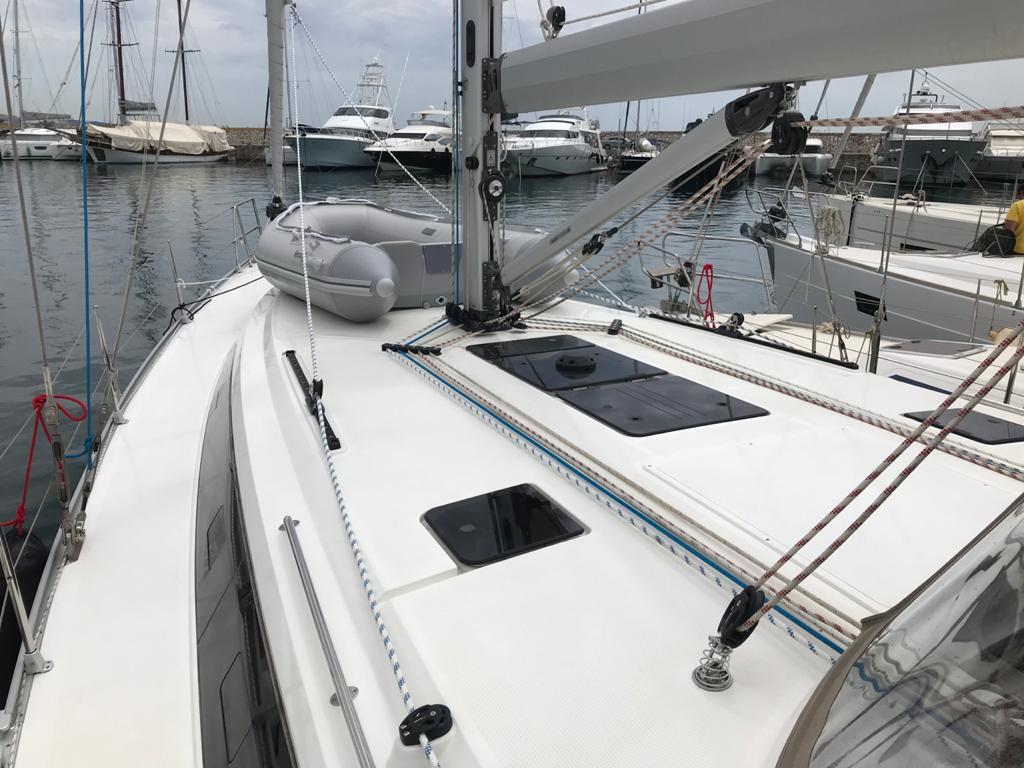 Sea Wonder