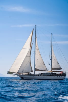 Arabella
