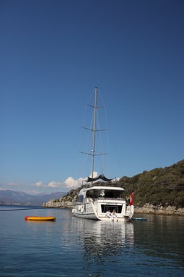 ALBATROS M