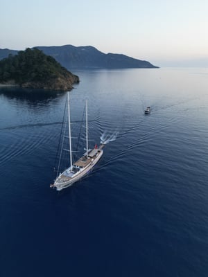 Nautilus