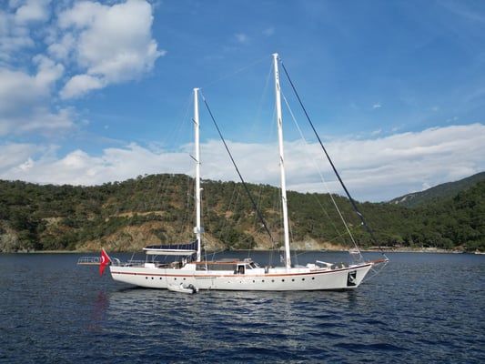 Nautilus