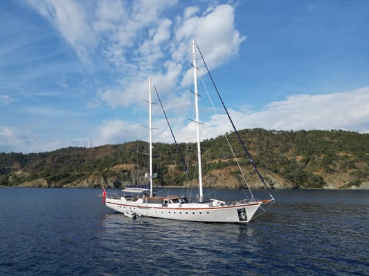 Nautilus