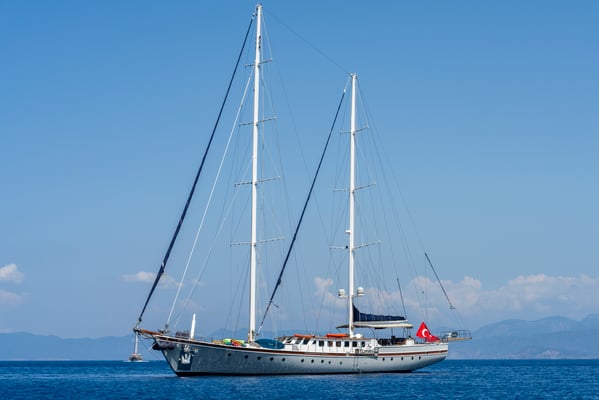 Nautilus
