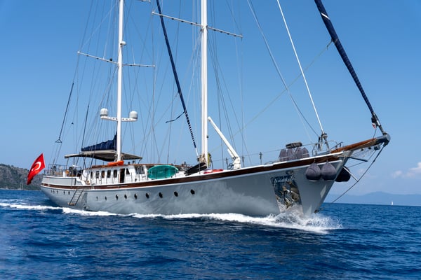 Nautilus