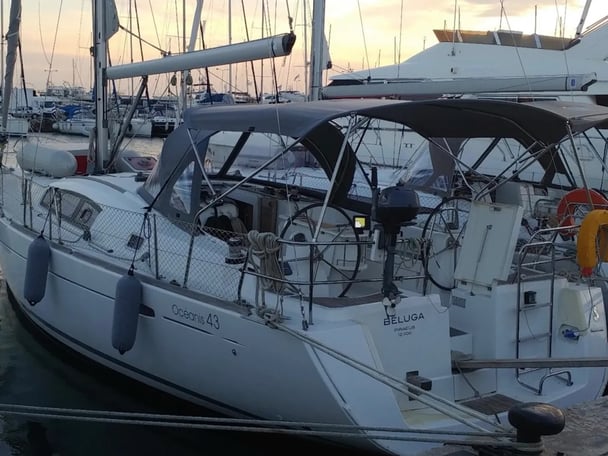 BELUGA REBUILT 218