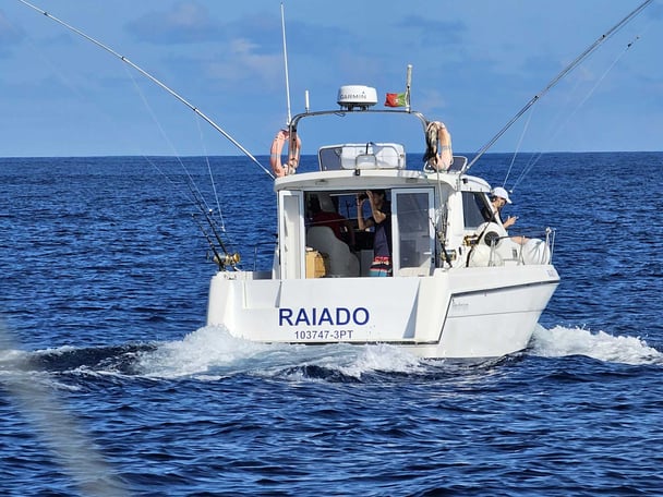 Raiado