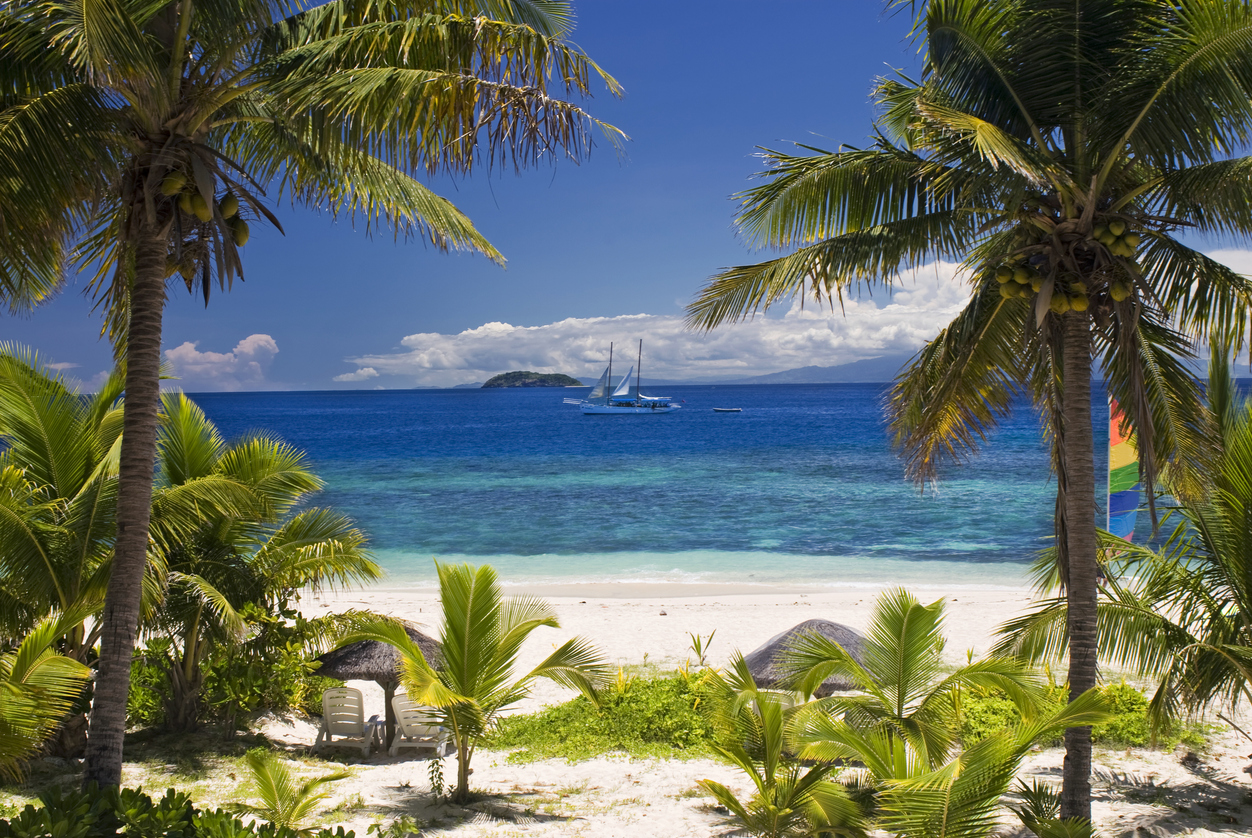 scenery with palm trees, ocean and a boat